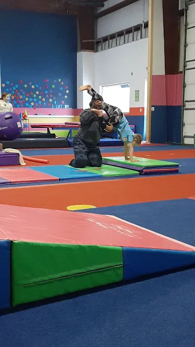 Mt Pleasant Gymnastics Academy Picture 5