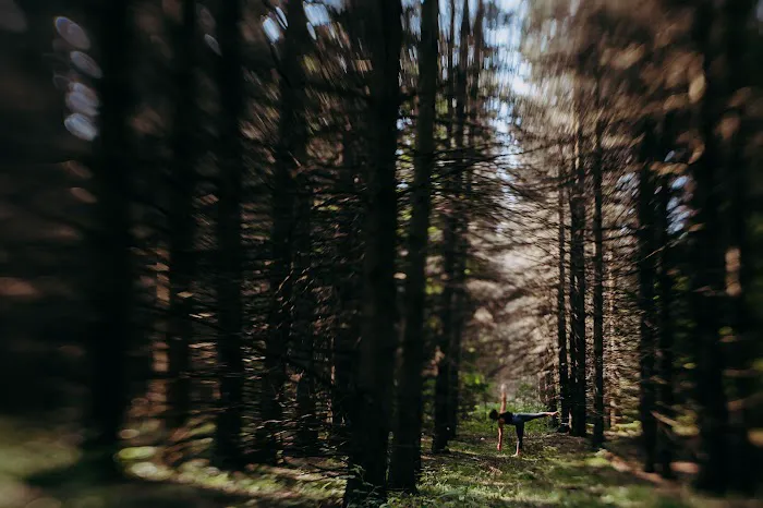 Evolution Hot Yoga LLC. Picture 10