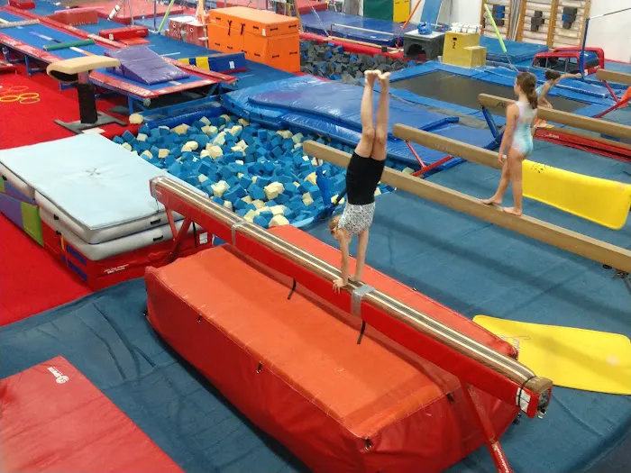 Midland Gymnastics Training Center Picture 7