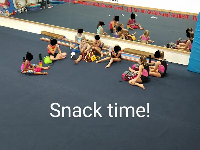 Midland Gymnastics Training Center Picture 4