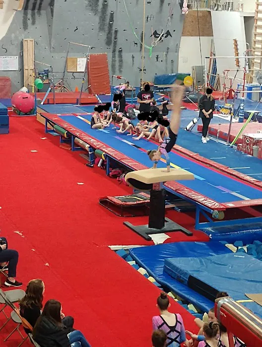 Midland Gymnastics Training Center Picture 5