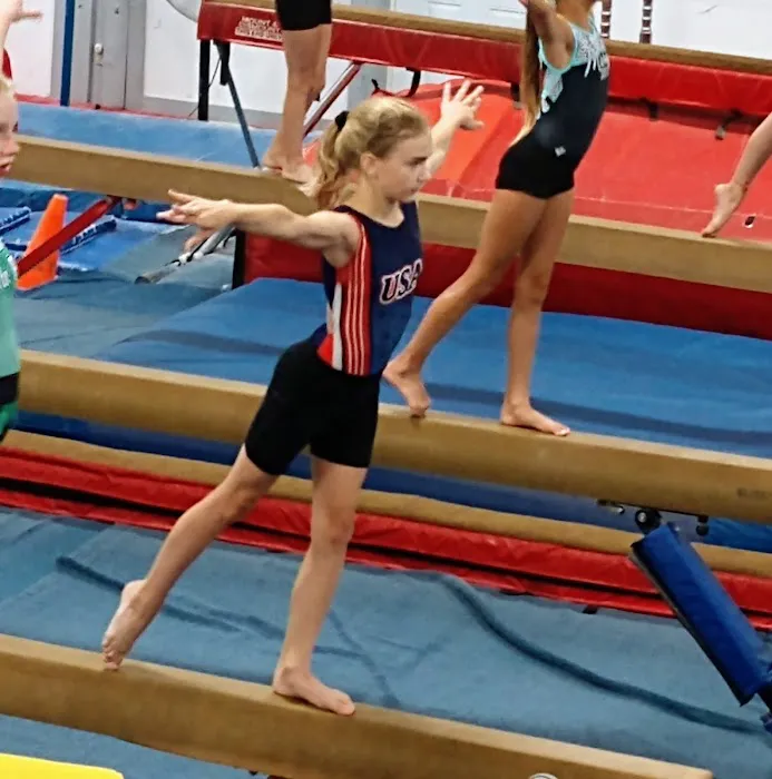 Midland Gymnastics Training Center Picture 6