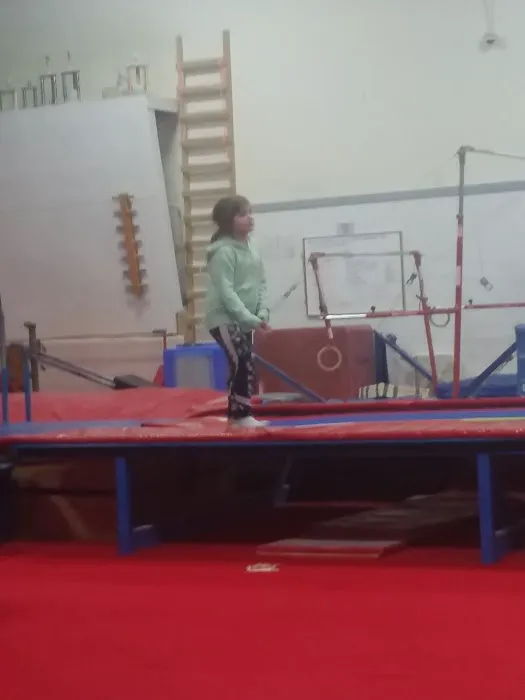 Midland Gymnastics Training Center Picture 1