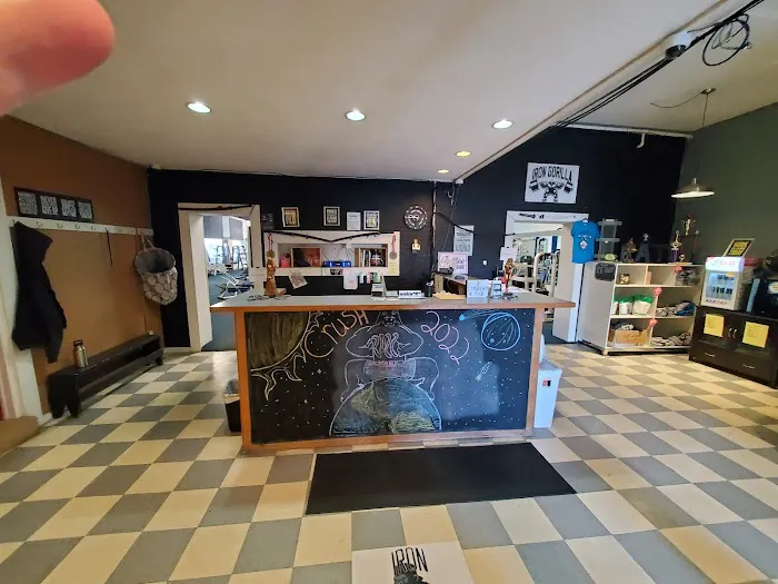 Iron Gorilla Picture 4