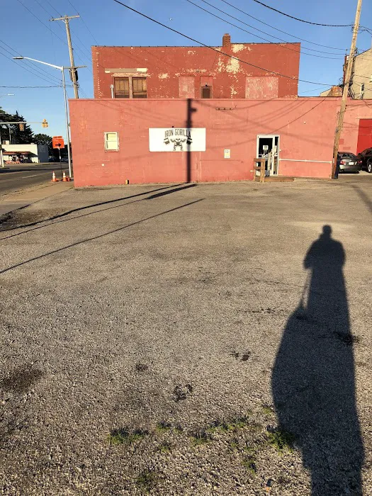 Iron Gorilla Picture 2