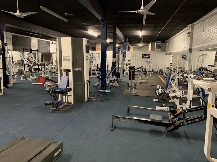 Iron Gorilla Picture 6