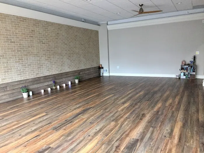 Soul Nectar Yoga + Wellness Picture 6