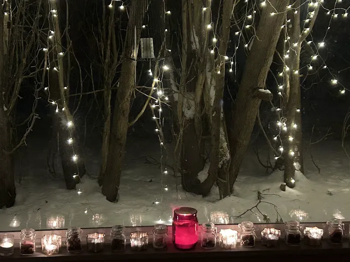 Soul Nectar Yoga + Wellness Picture 5