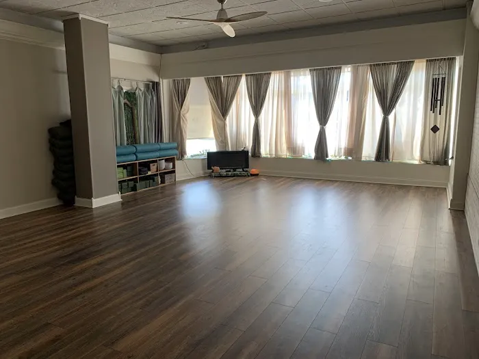 Soul Nectar Yoga + Wellness Picture 8