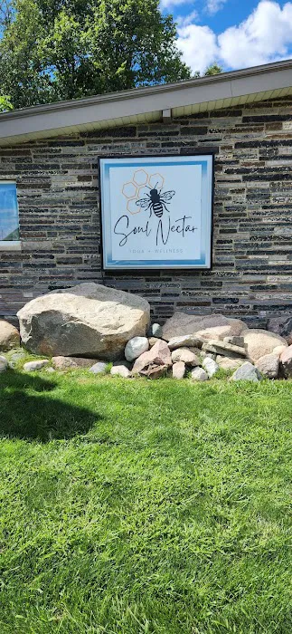 Soul Nectar Yoga + Wellness Picture 4
