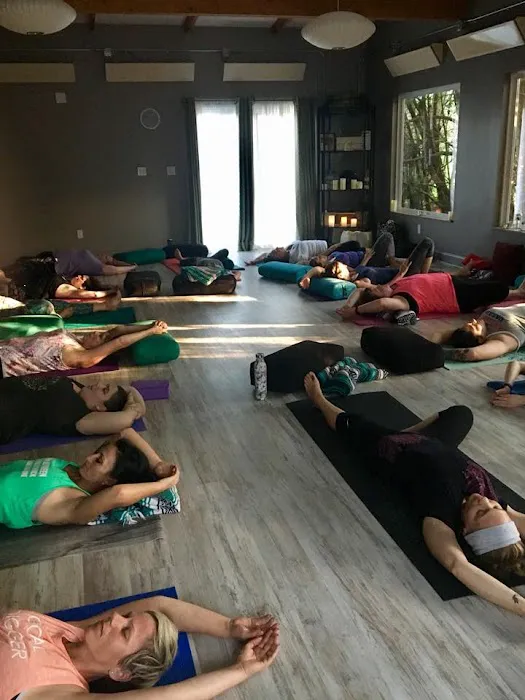 Soul Nectar Yoga + Wellness Picture 10