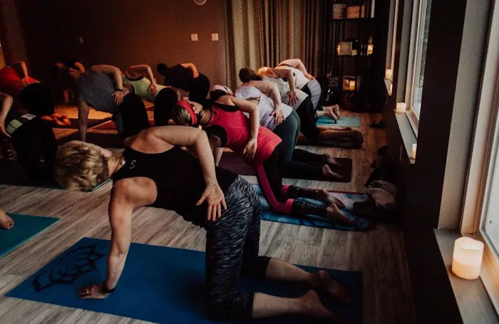 Soul Nectar Yoga + Wellness Picture 2