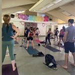 The OM Garden