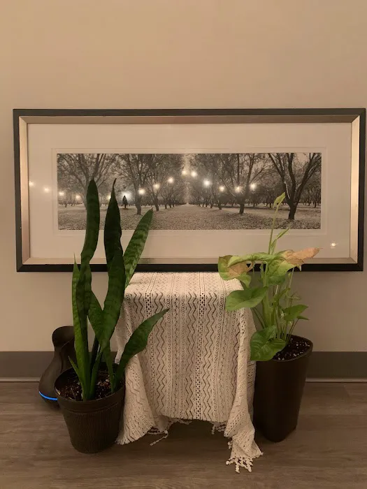 The OM Garden Picture 10