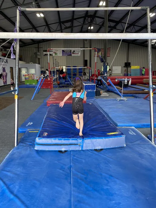 Stuck Gymnastics Picture 4