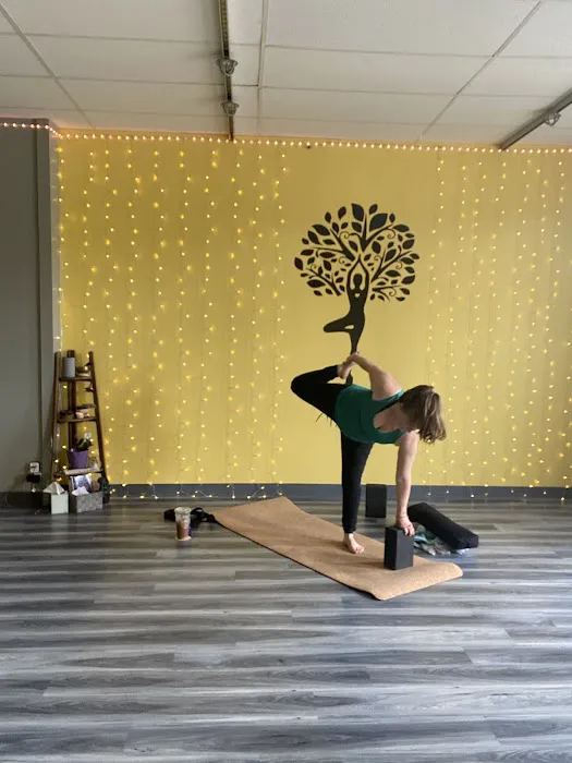 Pushna Wellness Picture 2