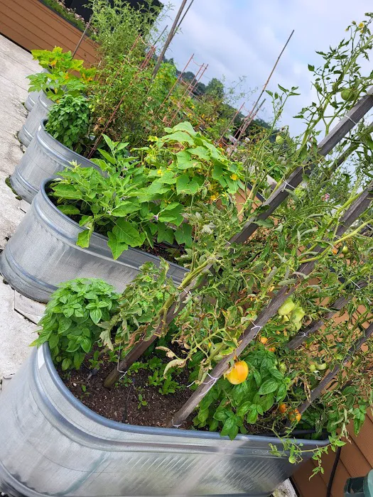 Citizen Yoga Bloomfield Picture 6