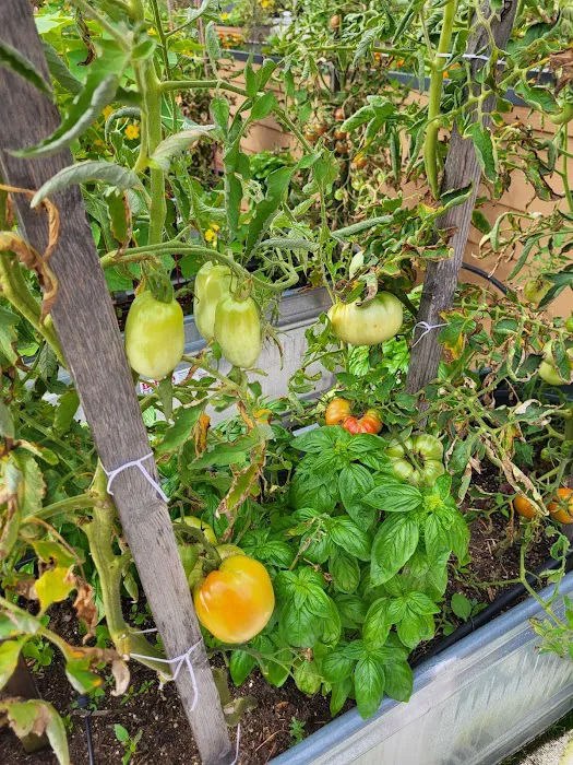 Citizen Yoga Bloomfield Picture 7