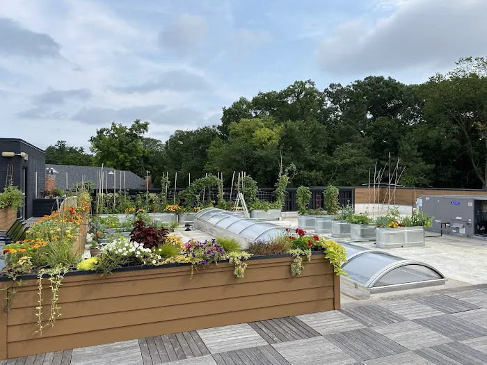 Citizen Yoga Bloomfield Picture 3