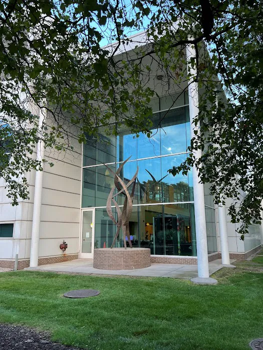 Mort Harris Fitness and Recreation Center Picture 4