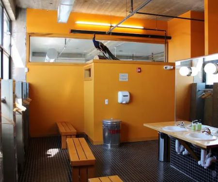 Midtown Yoga Wellness Center
