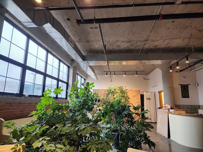 Midtown Yoga Wellness Center Picture 5