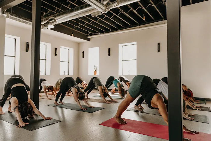 Full Lotus Yoga Picture 6