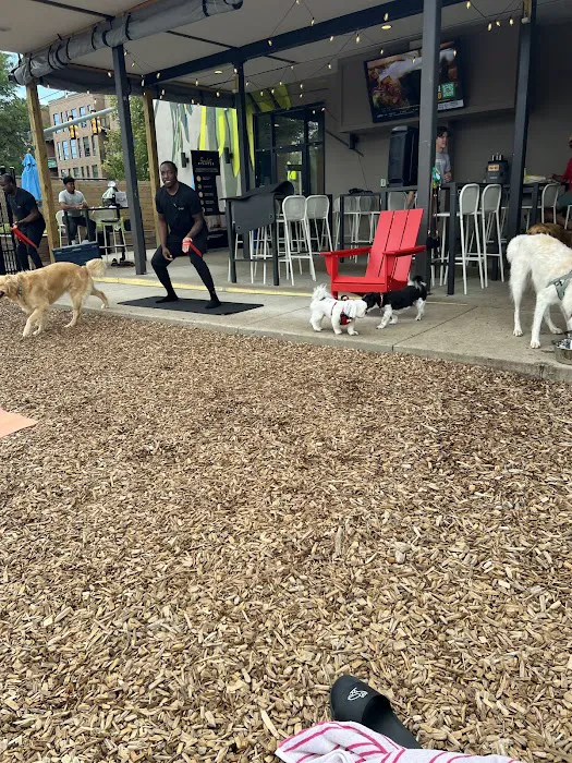 Sculpt Pilates Picture 8