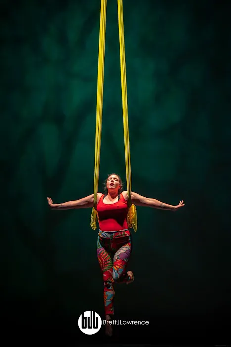 Detroit Flyhouse Circus School Picture 3