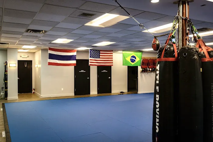 Octō Alliance Combat Sports Picture 2