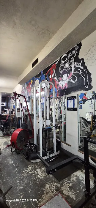 Wilbeth Road Gym Picture 5