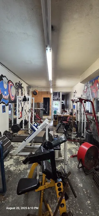 Wilbeth Road Gym Picture 4