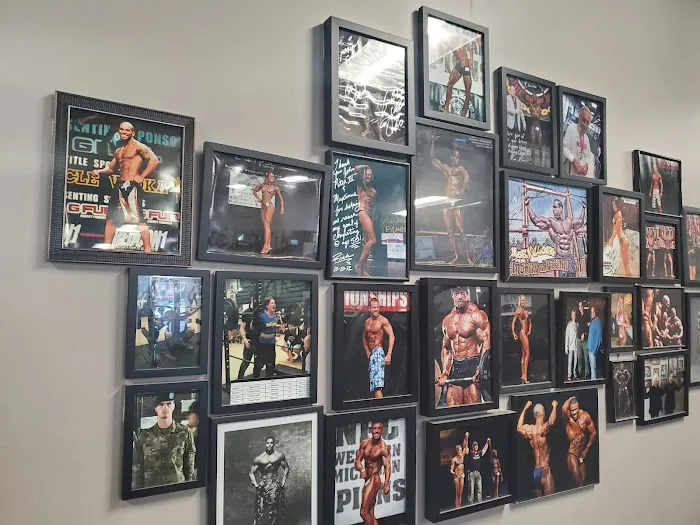 Maximus Fitness Picture 5