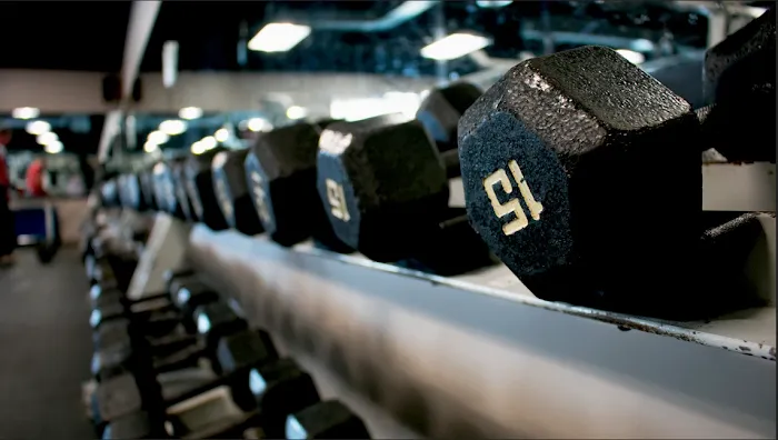 Maximus Fitness Picture 2