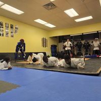 CombatZone Brazilian Jiu Jitsu and MMA ico