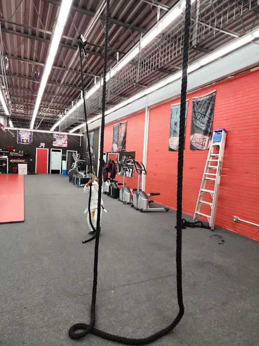 CombatZone Brazilian Jiu Jitsu and MMA Picture 8