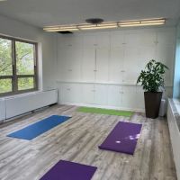 Mind Body Heart - Yoga & Wellness ico