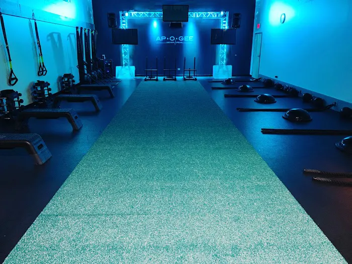 Apogee Fitness Picture 3