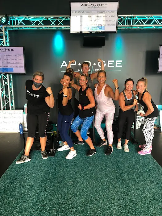 Apogee Fitness Picture 4