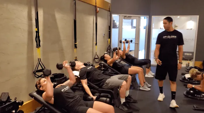 Apogee Fitness Picture 6