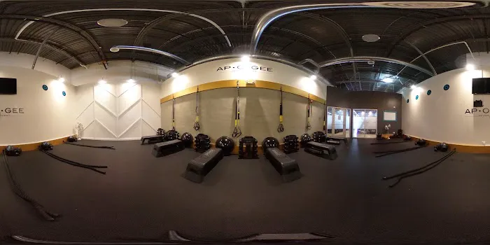 Apogee Fitness Picture 8