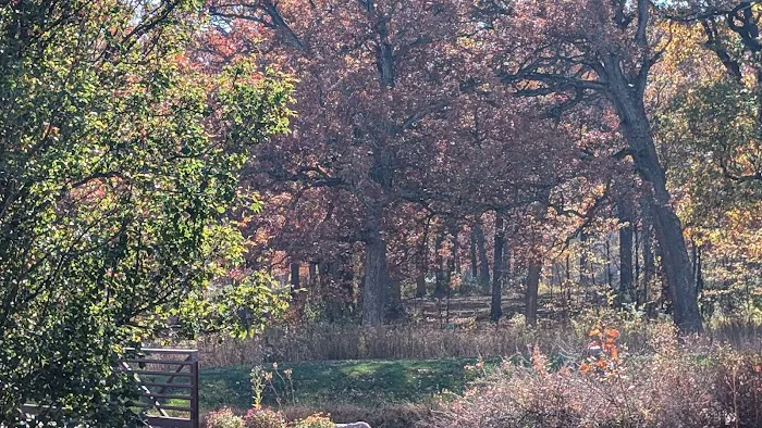 The Oaks Fitness Center Picture 4