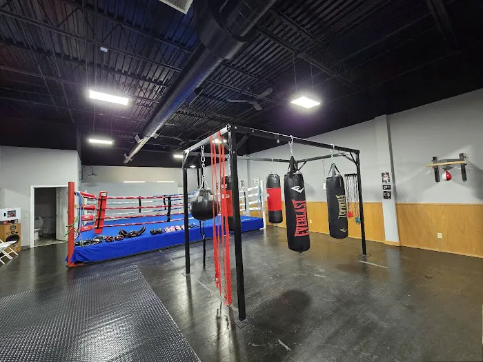 BVL Boxing Solutions Picture 7