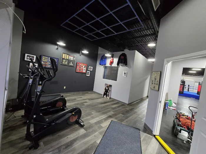 BVL Boxing Solutions Picture 5