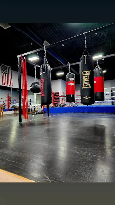 BVL Boxing Solutions Picture 2