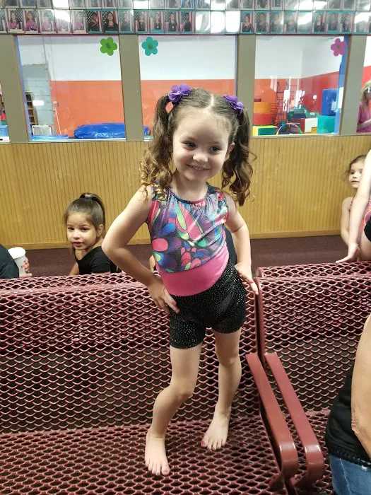 Gym-Kinetics Gymnastic School Picture 5