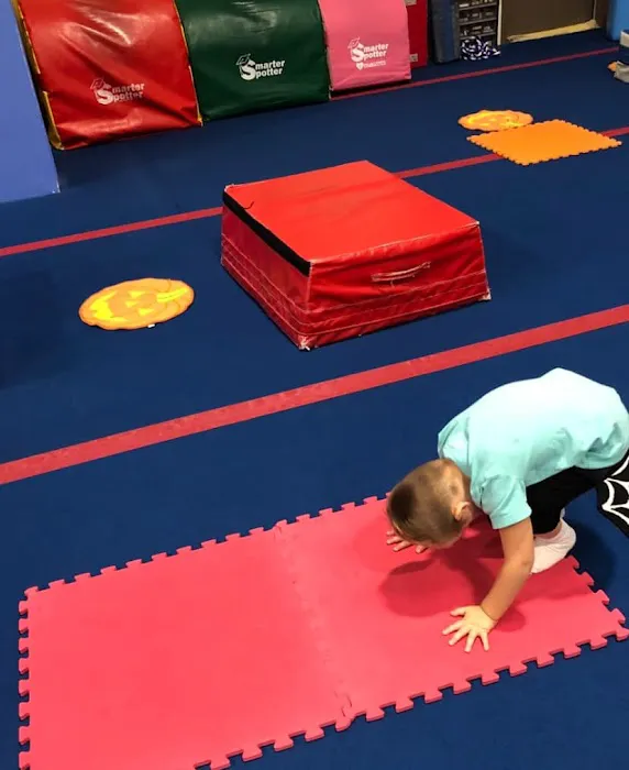 Gym-Kinetics Gymnastic School Picture 7