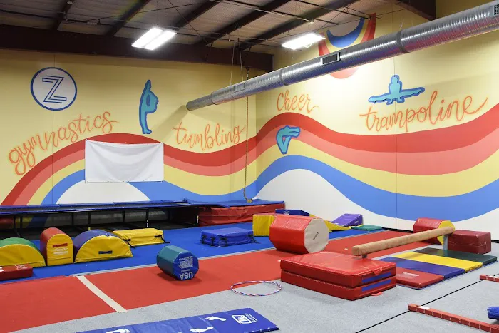 The Zone Athletics Center Picture 1