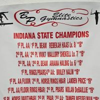 Breasha Pruitt Elite Gymnastics ico