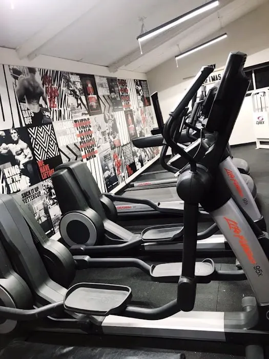 Iron Jungle Gym and Fitness Picture 2